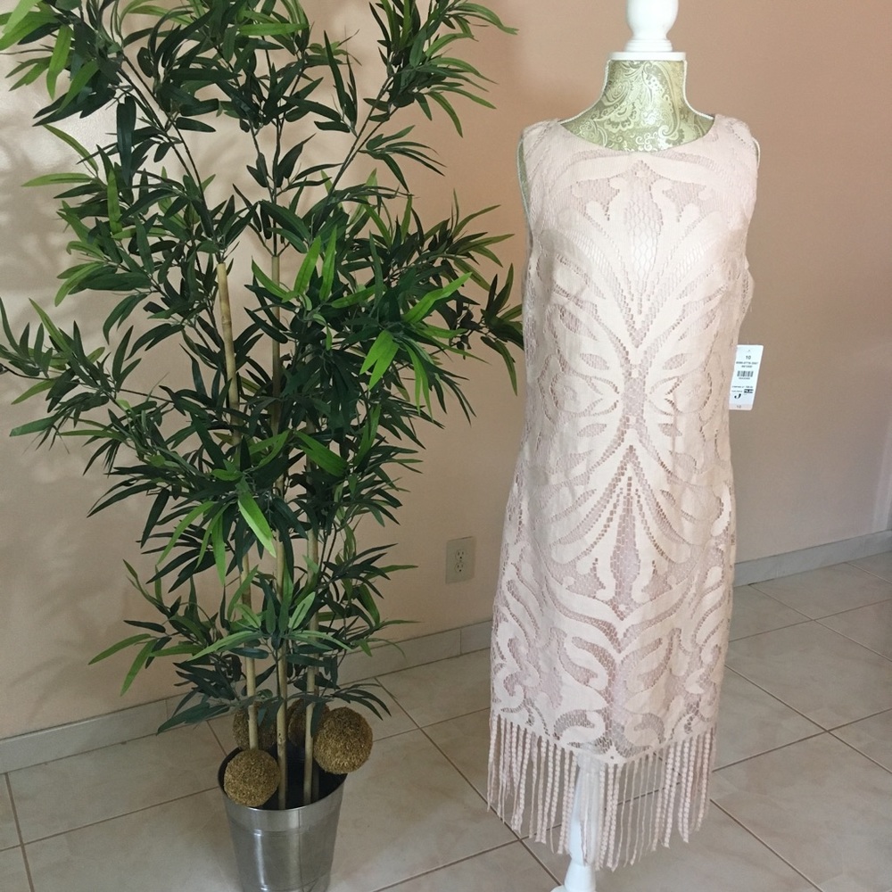 ⭕️Julia Jordan Dress